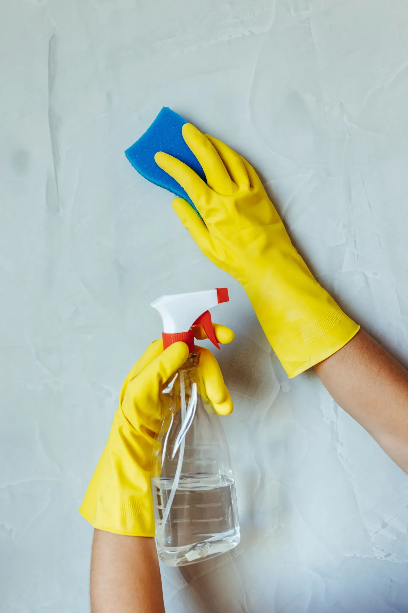 Regular home cleaning of a living space